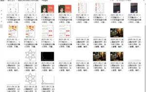 『高端精品』最新公主号无水印下载工具，图片 视频 音频 无脑小白一键下载-爱找项目网