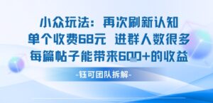 小众玩法再次刷新认知单个收费68米进群人数很多每篇帖子能带来6张的收益-爱找项目网