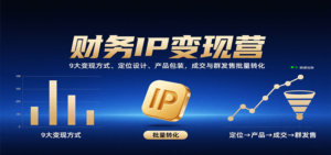 财务IP变现营：9大变现方式、定位设计、产品包装，成交与群发售批量转化-爱找项目网
