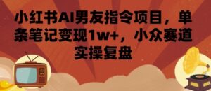 小红书AI男友指令项目，单条笔记变现1w+，小众赛道实操复盘-爱找项目网
