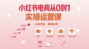 小红书电商从0到1实操运营课,从零开始,简单易学-爱找项目网