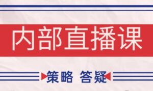 大师兄·鹿鼎山系列内部课程(更新8月)-爱找项目网
