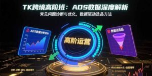 TK跨境高阶班：ADS数据深度解析，常见问题诊断与优化，数据驱动选品方法-爱找项目网