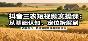 抖音三农短视频实操课：从基础认知、定位拆解到内容创作、拍摄剪辑及数据复盘投放-爱找项目网