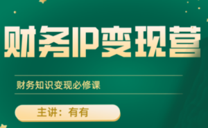 有有老师·财务IP变现营，财务知识变现必修课-爱找项目网