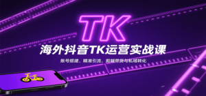海外抖音TK运营实战课：账号搭建、精准引流、剪辑带货与私域转化-爱找项目网
