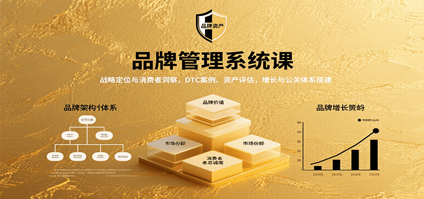 品牌管理系统课：战略定位与消费者洞察，DTC案例、资产评估，增长与公关体系搭建-爱找项目网