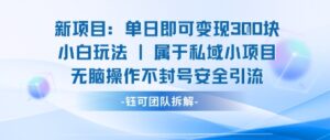 新项目单日即可变现3张的小白玩法无脑操作不封号安全引流-爱找项目网