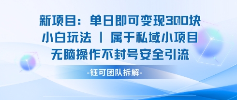 新项目单日即可变现3张的小白玩法无脑操作不封号安全引流-爱找项目网