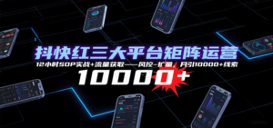 抖快红三大平台矩阵运营,12小时SOP实战+流量获取-风控-扩量,月引10000+线索-爱找项目网