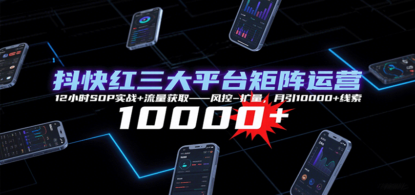 抖快红三大平台矩阵运营，12小时SOP实战+流量获取-风控-扩量，月引10000+线索-爱找项目网