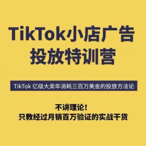 TikTok小店广告投放特训营，6天破局计划专治各种“投不动”，教你经过月销百万验证的实战干货-爱找项目网
