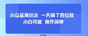 小众蓝海玩法 一天搞了四位数 小白可做 操作简单-爱找项目网