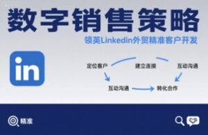 数字销售策略领英LinkedIn外贸精准客户开发-爱找项目网