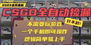 CSGO自动捡漏项目，最新独家玩法，一个手机即可操作，新手小白轻松月入1W+，操作简单易上手【揭秘】-爱找项目网