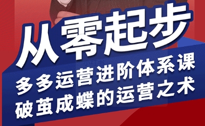 拼多多运营进阶系统课，从零起步，多多运营进阶体系课，破茧成蝶的运营之术-爱找项目网