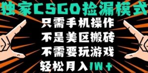 CSGO自动捡漏项目，最新独家玩法，不是美区搬砖，不需要了解和玩游戏，新手小白轻松月入1W+【揭秘】-爱找项目网