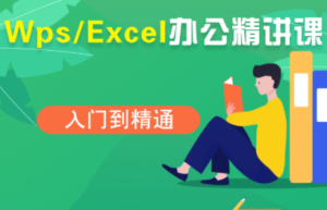 夏老师·WPS Excel办公(精讲课)-爱找项目网