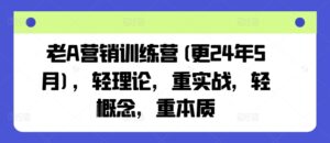 老A营销训练营(更25年8月)，轻理论，重实战，轻概念，重本质-爱找项目网