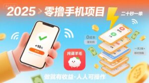 2025年零撸手机项目，二十秒一单，纯薅羊毛 一天2张+做就有-爱找项目网
