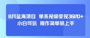 8月AI蓝海项目，单条视频变现1k+ 小白可玩 操作简单易上手-爱找项目网