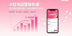 小红书运营体系课:通过大量实战案例拆解0-1000W爆款算法全攻略-爱找项目网