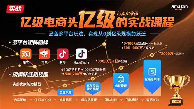 亿级电商头部卖家的实战课程：涵盖多平台玩法，实现从0到亿级规模的跃迁-爱找项目网