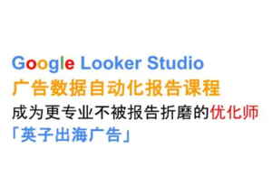 英子出海广告·Google Looker Studio从新手到高手-爱找项目网
