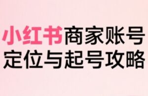 小红书电商全链路实战从定位到爆单，系统拆解小红书商家起号全流程(更新)-爱找项目网