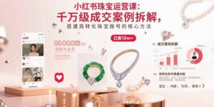 小红书珠宝运营课：千万级成交案例拆解，搭建高转化珠宝账号的核心方法-爱找项目网