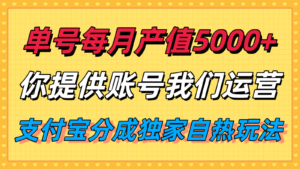 单月产值5000+，支付宝分成代运营，你提供账号坐等分钱，我们帮你运营-爱找项目网