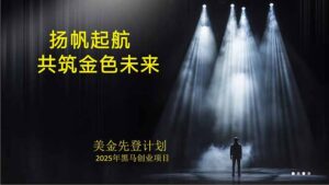 美金对冲创业项目，日收益1000-3000，小众暴力项目稳定运行8年-爱找项目网