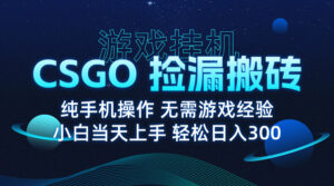 8月最新游戏搬砖,CSGO纯挂机,不需要玩游戏,实现真挂机,月入1W+-爱找项目网