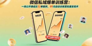 微信私域爆单训练营：一场公开课成交33单案例，99元自动训练营批量变现术-爱找项目网