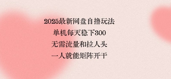 2025最新网盘自撸玩法，单机每天稳下3张，无需流量和拉人头，一个人就可轻松矩阵，全网独一份【揭秘】-爱找项目网