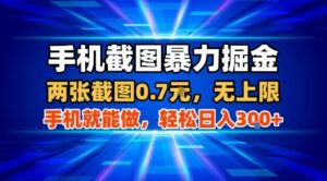 手机截图暴力掘金，两张截图0.7米，一部手机就能做，轻松日入3张+【揭秘】-爱找项目网