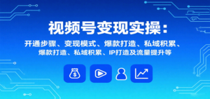 视频号变现实操，含开通步骤、变现模式、爆款打造、私域积累、IP打造及流量提升等-爱找项目网