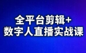 视频号、快手、抖音全平台剪辑+数字人直播实战课(更新9月)​-爱找项目网