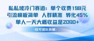 私域冷门赛道单个收费198米引流模板简单人群精准 45%的转化率单人一天大概收益多张-爱找项目网