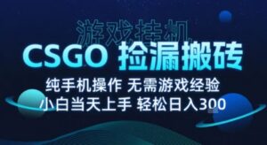 8月最新游戏搬砖，CSGO纯挂G，不需要玩游戏，实现真挂G，月入1W+【揭秘】-爱找项目网