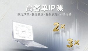高客单IP课，搞定成交，搞定高客单IP，翻倍变现，轻松卖爆，不销而销-爱找项目网