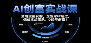 AI创富实战课：企业家IP定位，全域流量获客，低成本组团队，0起号创富！-爱找项目网