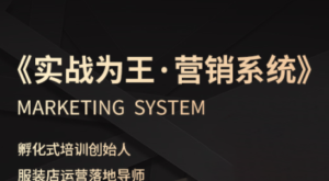 老杨·服装老板必修课《实战为王-营销系统》实现业绩被动式增长-爱找项目网