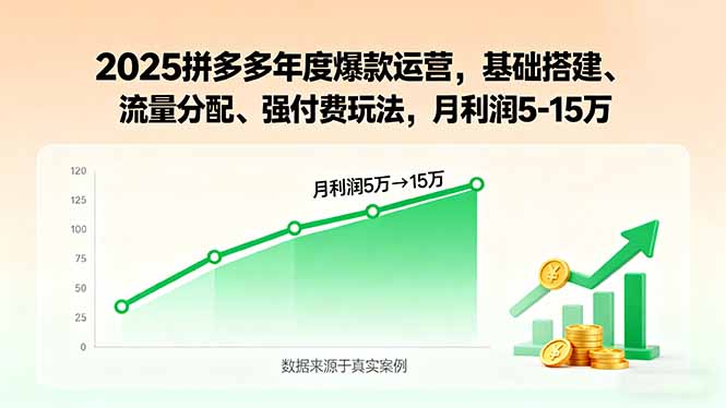 2025拼多多年度爆款运营，基础搭建、流量分配、强付费玩法，月利润5-15万-爱找项目网