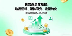 抖音爆品实战课：选品逻辑、矩阵裂变、流量转化，14节课掌握月入百万秘籍-爱找项目网