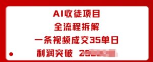 AI收徒项目全流程拆解一条视频成交35单日利润突破1k+-爱找项目网
