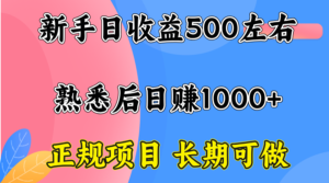 一台电脑，前期日收益300-500，熟练后日入1000左右-爱找项目网