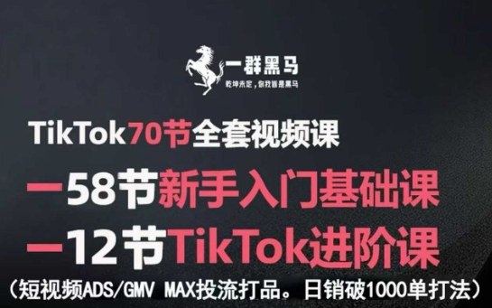 TikTok全套视频课，新手入门+进阶课，短视频ADS-GMV MAX投流打品，日销破1000单打法-爱找项目网
