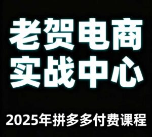 老贺电商2025年拼多多付费课程，用通俗易懂的方法告诉你多多怎么玩-爱找项目网