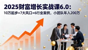 2025财富增长实战课6.0：10万起步+7大风口+6行业案例，小团队年入200万-爱找项目网